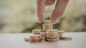 Wealth Cycles and Capital Risk Windows